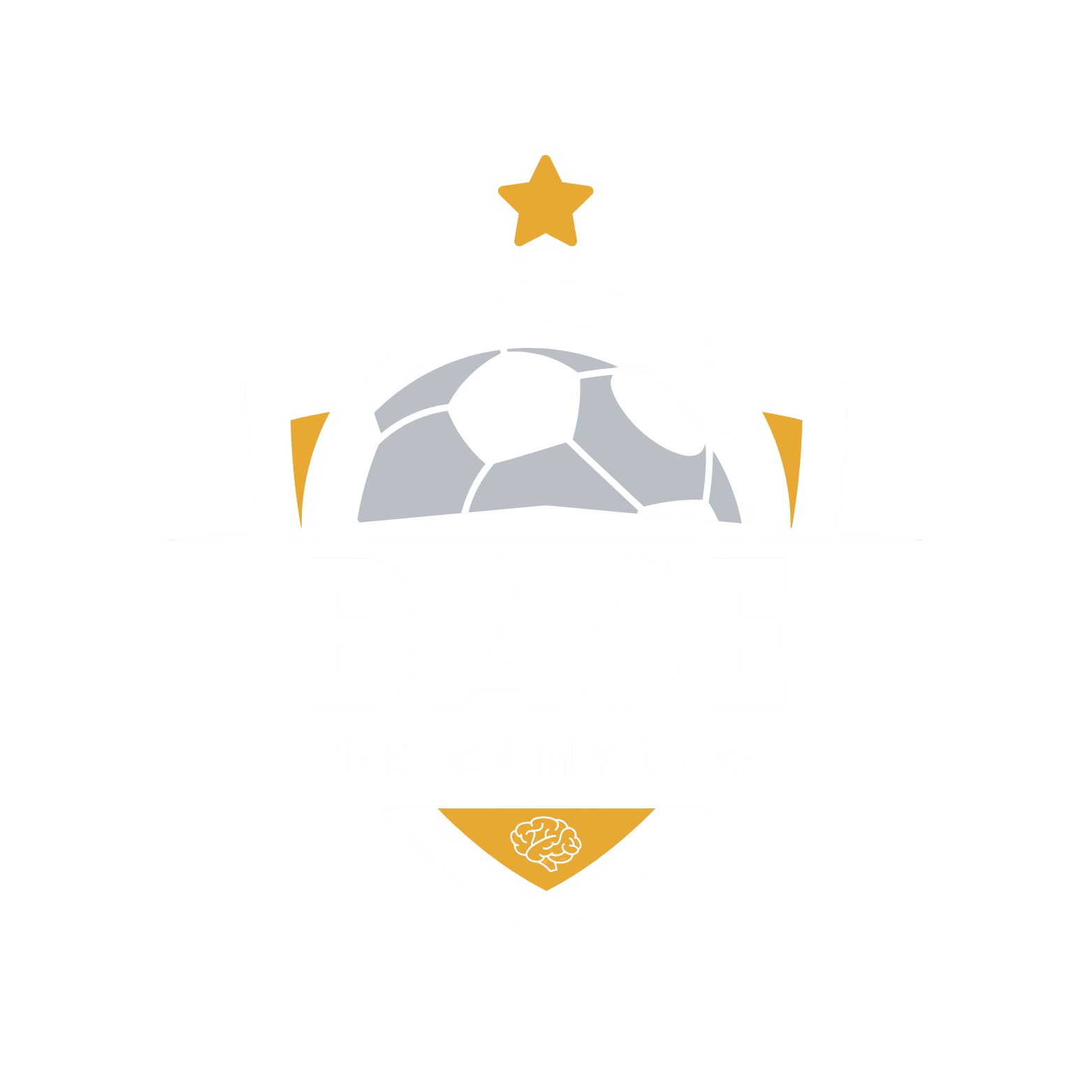 Base de Campeão
